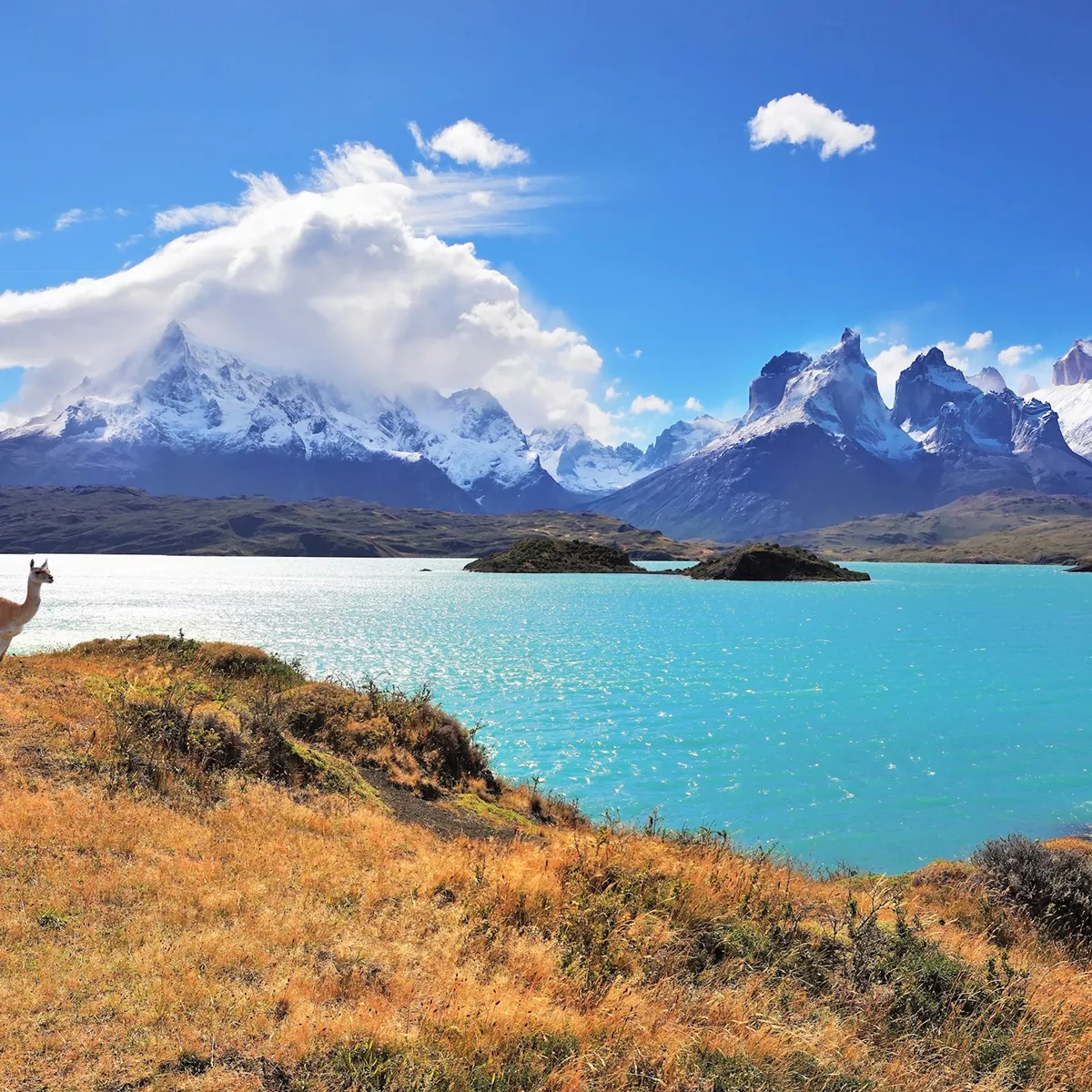Understanding Patagonia: Geography and Cultural Identity
