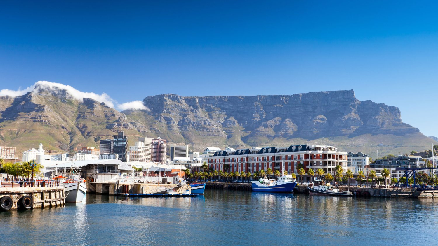 The Winelands