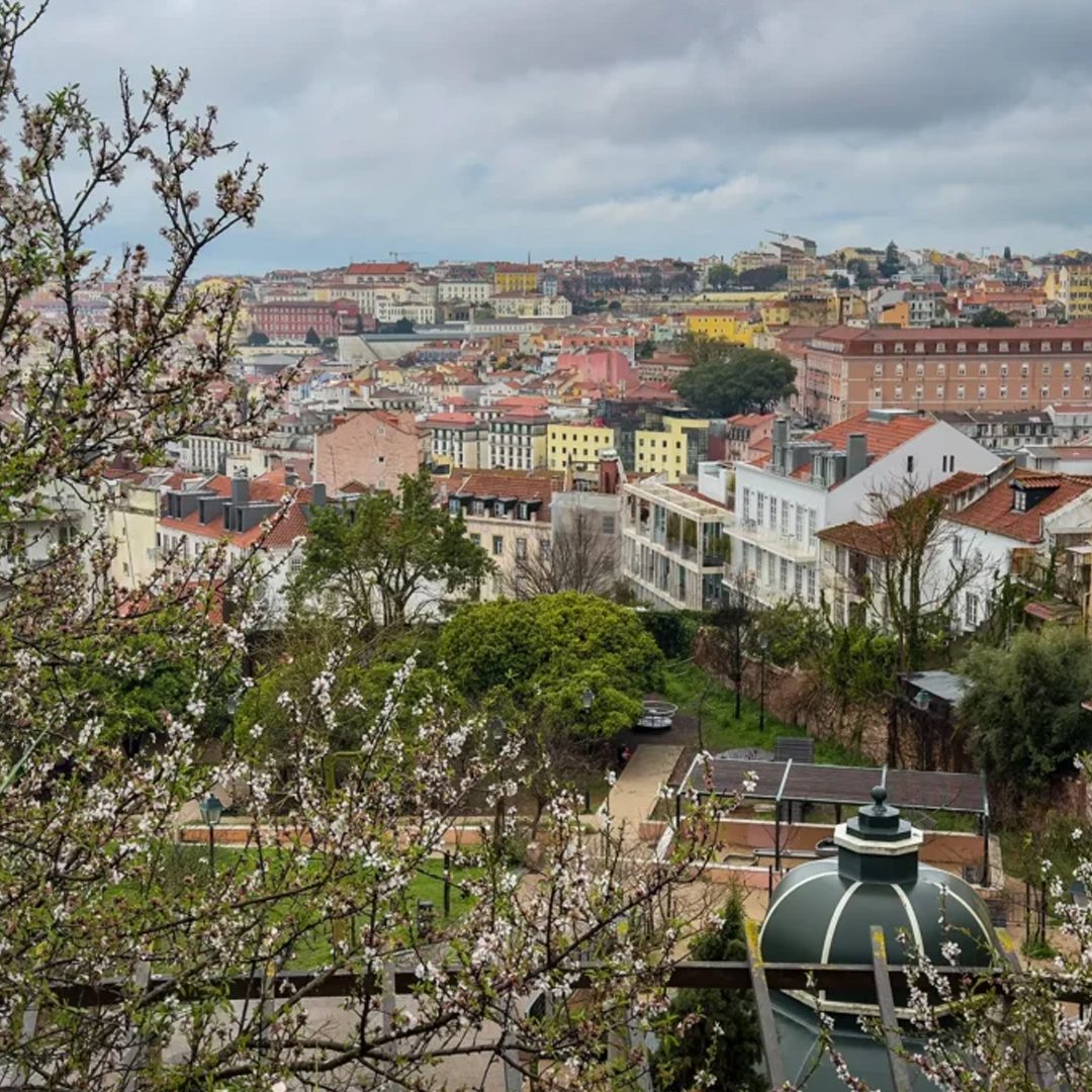 Lisbon City: Navigating Alfama, Belem, and the Best Fado Spots