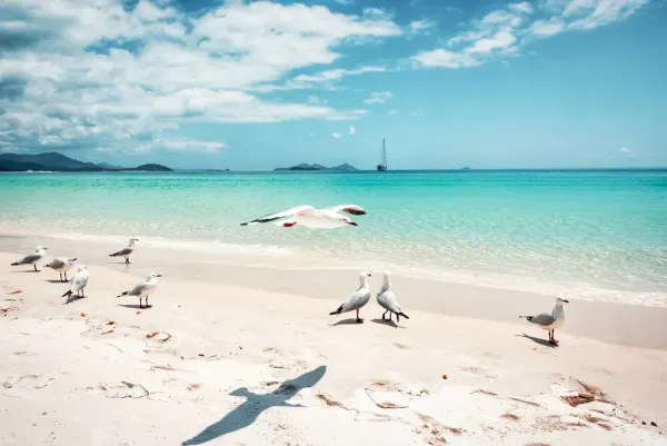 White Sands