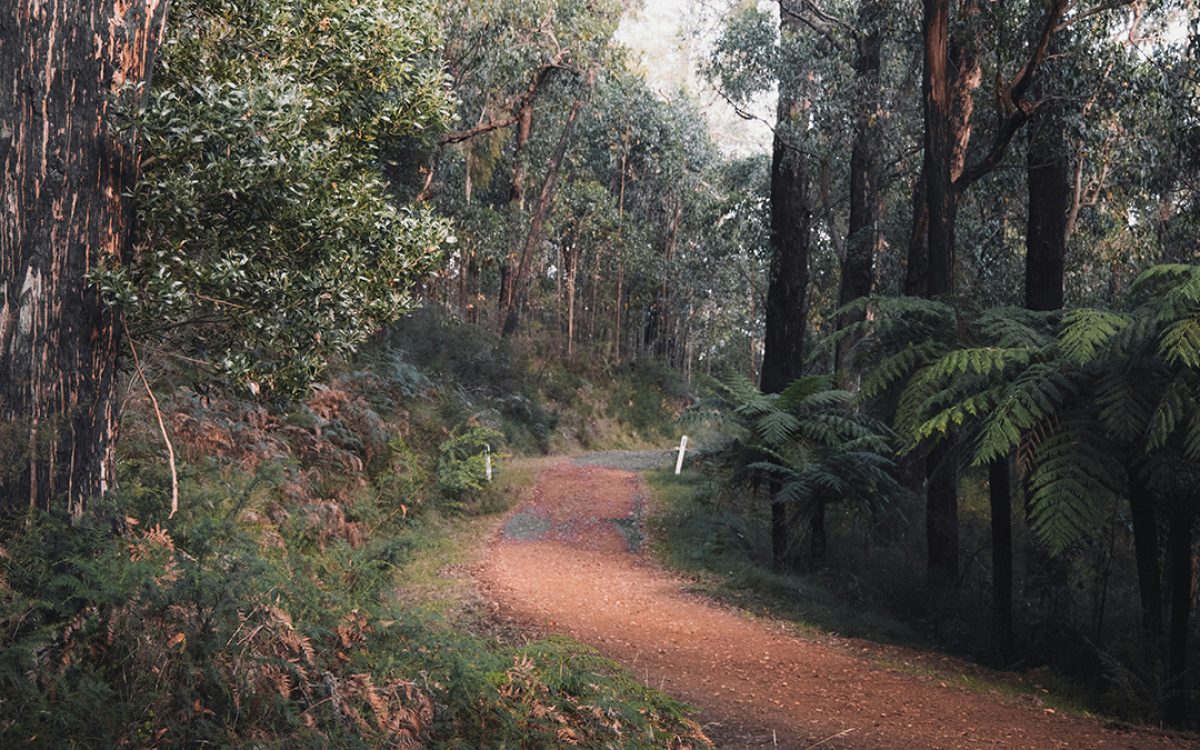 Australia for Nature and Wildlife Lovers