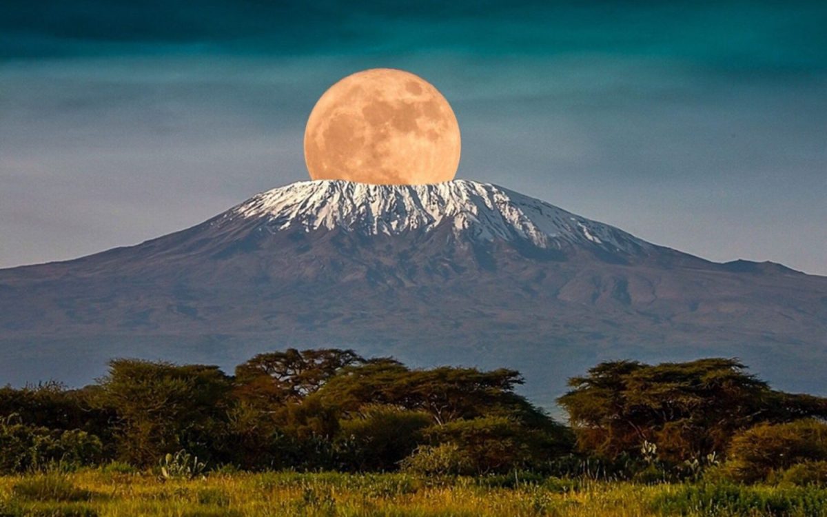 Kilimanjaro Adventure Awaits