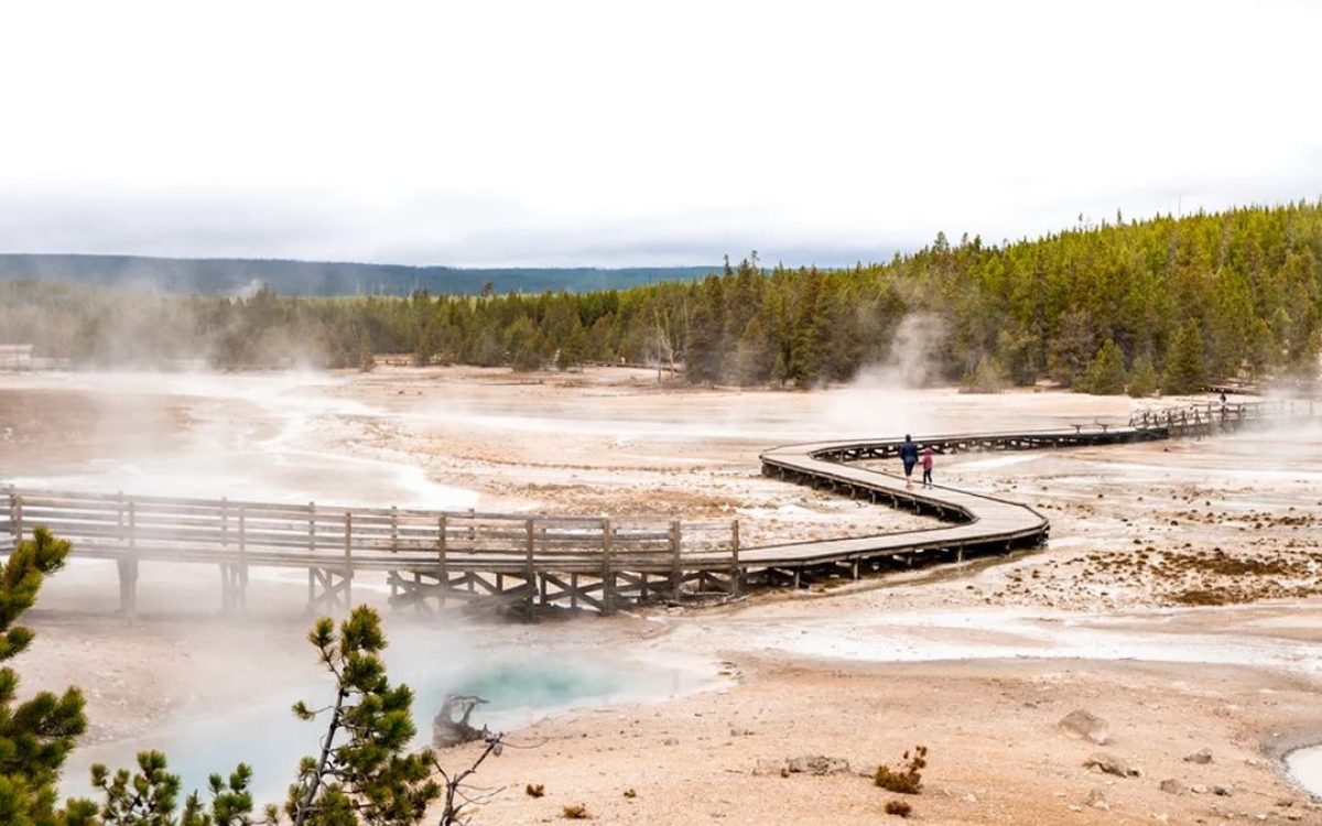 Family Activities in Yellowstone: Fun Things to Do with Kids
