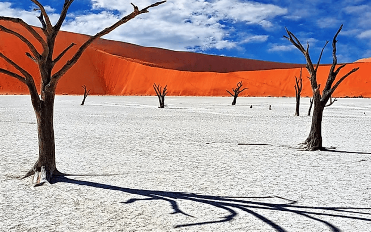 Sossusvlei Namibia Red Sand Dunes: Complete Travel Guide