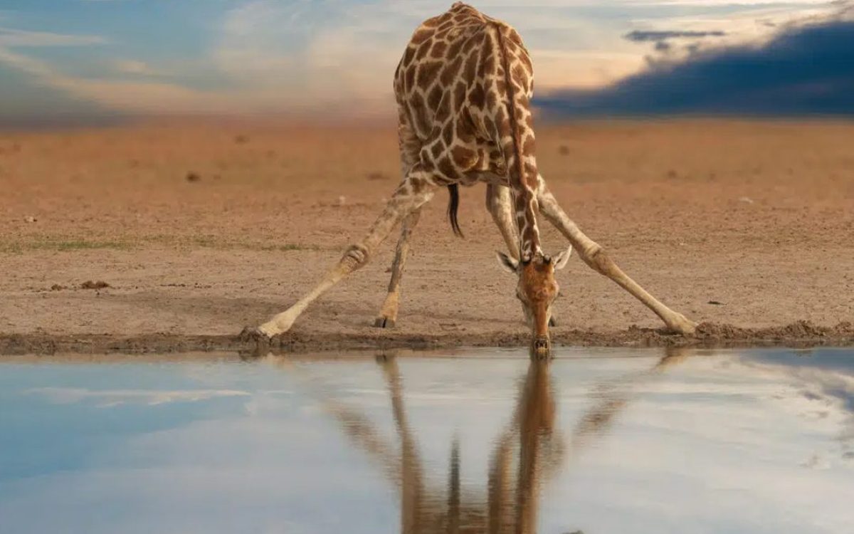 Namibia: Africa’s Hidden Gem for Adventure Seekers