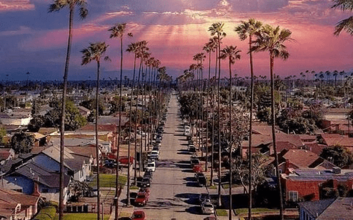 Beautiful sunset view over a palm-lined street in Los Angeles, showcasing the city’s unique charm and iconic scenery.