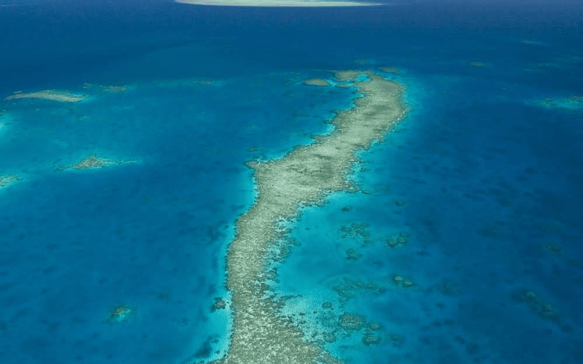 The Great Barrier Reef