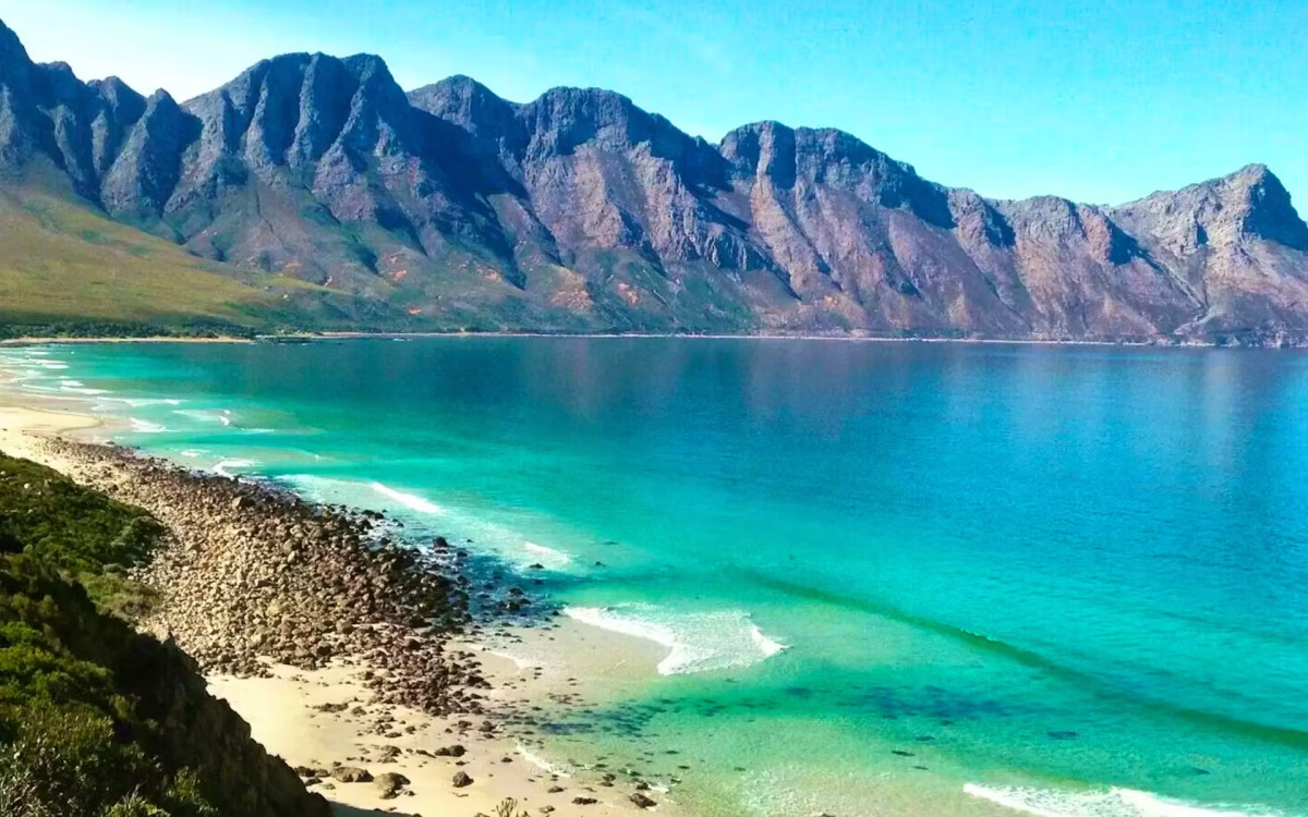 South Africa’s Garden Route: The Ultimate Road Trip Guide to Wildlife, Coasts, and Adventure